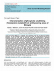 Research paper thumbnail of Characterization of phosphate solubilizing rhizobacteria associated with pea (Pisum sativum L.) isolated from two agricultural soils