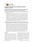 Research paper thumbnail of Occurrence of symbiotic fungi and rhizospheric phosphate solubilization in weeds