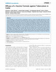 Research paper thumbnail of Efficacy of a Vaccine Formula against Tuberculosis in Cattle