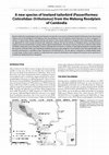 Research paper thumbnail of A new species of lowland tailorbird (Passeriformes: Cisticolidae: Orthotomus) from the Mekong floodplain of Cambodia