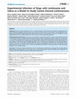 Research paper thumbnail of Experimental Infection of Dogs with Leishmania and Saliva as a Model to Study Canine Visceral Leishmaniasis