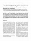 Research paper thumbnail of Plasma Membrane Aquaporins in the Motor Cells of Samanea saman