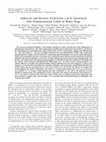 Research paper thumbnail of Adherent and Invasive Escherichia coli Is Associated with Granulomatous Colitis in Boxer Dogs