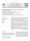 Research paper thumbnail of Phylogroup and lpfA influence epithelial invasion by mastitis associated Escherichia coli