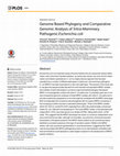 Research paper thumbnail of Genome Based Phylogeny and Comparative Genomic Analysis of Intra-Mammary Pathogenic Escherichia coli