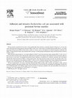 Research paper thumbnail of Adherent and invasive Escherichia coli are associated with persistent bovine mastitis