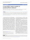 Research paper thumbnail of A novel ABCC6 variant causative of pseudoxanthoma elasticum