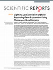 Research paper thumbnail of Lighting Up Clostridium Difficile: Reporting Gene Expression Using Fluorescent Lov Domains