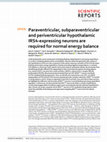 Research paper thumbnail of Paraventricular, subparaventricular and periventricular hypothalamic IRS4-expressing neurons are required for normal energy balance