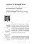 Research paper thumbnail of Ganoderma en la palma de aceite : hipótesis sobre infección natural e implementación de una prueba de inoculación artificial para la detección temprana del nivel de resistencia de progenies de palma de aceite