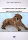 Research paper thumbnail of Uso de Bortezomibe (PS-341) em cães da raça Golden Retriever afetados pela Distrofia Muscular Progressiva (GRMD) - Avaliação da viabilidade da terapia e reestruturação da Distrofina Muscular