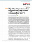 Research paper thumbnail of Major QTL with pleiotropic effects controlling time of leaf budburst and flowering-related traits in walnut (Juglans regia L.)