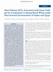 Research paper thumbnail of Heat-Tolerant QTLs Associated with Grain Yield and Its Components in Spring Bread Wheat under Heat-Stressed Environments of Sudan and Egypt