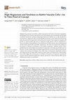 Research paper thumbnail of High Magnesium and Sirolimus on Rabbit Vascular Cells—An In Vitro Proof of Concept