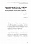 Research paper thumbnail of Silva, A. M. S., & Sá, E. M. (2022): Sondagens Arqueológicas no Castro da Madalena (Vila Nova de Gaia): Notícia preliminar das Campanhas de 2020 e 2021. Portvgalia : Revista De Arqueologia Do Departamento De Ciências E Técnicas Do Património Da FLUP, 43.