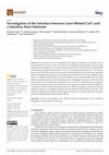 Research paper thumbnail of Investigation of the Interface between Laser-Melted CoCr and a Stainless Steel Substrate