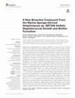 Research paper thumbnail of {"__content__"=>"A New Bioactive Compound From the Marine Sponge-Derived sp. SBT348 Inhibits Staphylococcal Growth and Biofilm Formation.", "i"=>{"__content__"=>"Streptomyces"}}