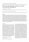 Research paper thumbnail of Both avian and mammalian embryonic myoblasts are intrinsically heterogeneous