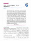 Research paper thumbnail of RNA processing and decay in plastids