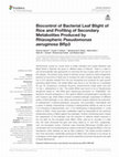 Research paper thumbnail of Biocontrol of Bacterial Leaf Blight of Rice and Profiling of Secondary Metabolites Produced by Rhizospheric Pseudomonas aeruginosa BRp3