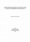 Research paper thumbnail of Algunos aspectos en el comportamiento superficial de la ballena jorobada (Megaptera novaeangliae) en los diferentes grupos conformados alrededor del par madre-cría en el Pacífico colombiano