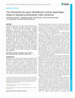 Research paper thumbnail of TheDrosophilaHox geneUltrabithoraxcontrols appendage shape by regulating extracellular matrix dynamics