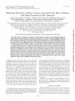 Research paper thumbnail of Molecular Diversity of Rabies Viruses Associated with Bats in Mexico and Other Countries of the Americas