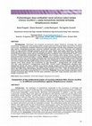 Research paper thumbnail of Perbandingan daya antibakteri serat selulosa sabut kelapa (Cocos nucifera L.) pada konsentrasi berbeda terhadap Streptococcus mutansComparison of the antibacterial power of coconut cellulose fiber (Cocos nucifera L.) at different concentrations against Streptococcus mutans