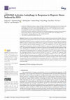 Research paper thumbnail of p53N236S Activates Autophagy in Response to Hypoxic Stress Induced by DFO