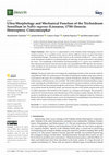 Research paper thumbnail of Ultra-Morphology and Mechanical Function of the Trichoideum Sensillum in Nabis rugosus (Linnaeus, 1758) (Insecta: Heteroptera: Cimicomorpha)