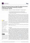 Research paper thumbnail of Selective Fluorescent Probes for High-Throughput Functional Diagnostics of the Human Multidrug Transporter P-Glycoprotein (ABCB1)