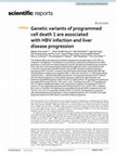 Research paper thumbnail of Genetic variants of programmed cell death 1 are associated with HBV infection and liver disease progression