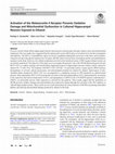 Research paper thumbnail of Activation of the Melanocortin-4 Receptor Prevents Oxidative Damage and Mitochondrial Dysfunction in Cultured Hippocampal Neurons Exposed to Ethanol