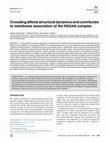 Research paper thumbnail of Crowding affects structural dynamics and contributes to membrane association of the NS3/4A complex