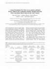 Research paper thumbnail of A Juan Fernández Fur Seal (Arctocephalus philippii, Peters, 1866) in the Galápagos Islands: Insights from the First Anecdotal Observation in the Last Century