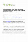 Research paper thumbnail of Parasitization of the Potato Aphid, Macrosiphum euphorbiae (Thomas), by Aphelinus asychis Walker in Greenhouses in India 1