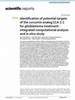 Research paper thumbnail of Identification of potential targets of the curcumin analog CCA-1.1 for glioblastoma treatment : integrated computational analysis and in vitro study