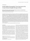 Research paper thumbnail of Insulin inhibits neuropeptide Y gene expression in the arcuate nucleus through GABAergic systems