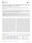 Research paper thumbnail of Whole-Genome Sequences of Five Oligotrophic Bacteria Isolated from Deep within Lechuguilla Cave, New Mexico