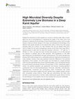 Research paper thumbnail of High Microbial Diversity Despite Extremely Low Biomass in a Deep Karst Aquifer