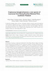 Research paper thumbnail of Cryptocarya kaengkrachanensis, a new species of Lauraceae from Kaeng Krachan National Park, southwest Thailand