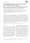 Research paper thumbnail of Sera of Chagasic patients react with antigens from the tomato parasite Phytomonas serpens