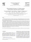 Research paper thumbnail of Electrochemical processes at a flowing organic solvent∣aqueous electrolyte phase boundary