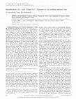 Research paper thumbnail of Identification of L- and T-type Ca2+channels in rat cerebral arteries: role in myogenic tone development