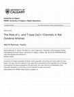 Research paper thumbnail of The Role of L- and T-type Ca2+ Channels in Rat Cerebral Arteries