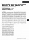 Research paper thumbnail of Resumo De Tese: Valorisation of Agricultural Waste Through Pyrolysis in the Production of Biochar