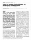 Research paper thumbnail of Ageing and telomeres: a study into organ- and gender-specific telomere shortening