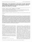 Research paper thumbnail of Differential c-fos expression in the brain of male Japanese quail following exposure to stimuli that predict or do not predict the arrival of a female