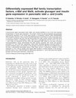 Research paper thumbnail of Differentially expressed Maf family transcription factors, c-Maf and MafA, activate glucagon and insulin gene expression in pancreatic islet alpha- and beta-cells