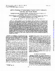 Research paper thumbnail of cDNA cloning of transcription factor E4TF1 subunits with Ets and notch motifs